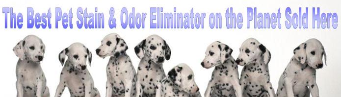 Pet Stain and Odor Eliminator